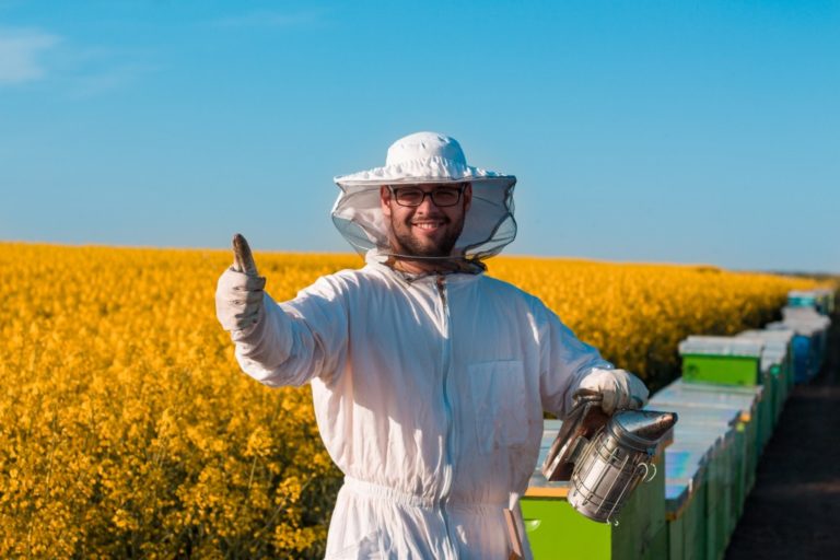 beekeeper working in the field